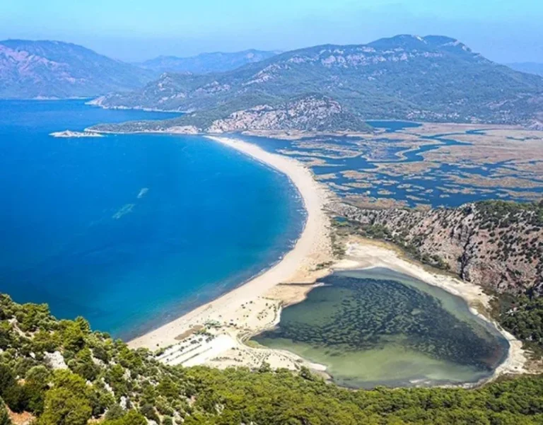 İztuzu Beach Visitor Guide: Swimming, Turtles and Local Tips